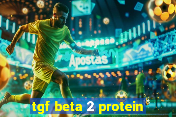 tgf beta 2 protein